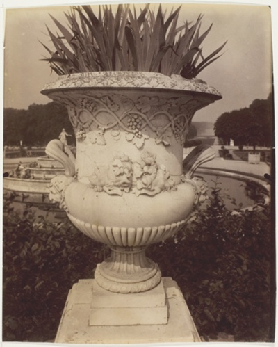 Versailles, Vase
