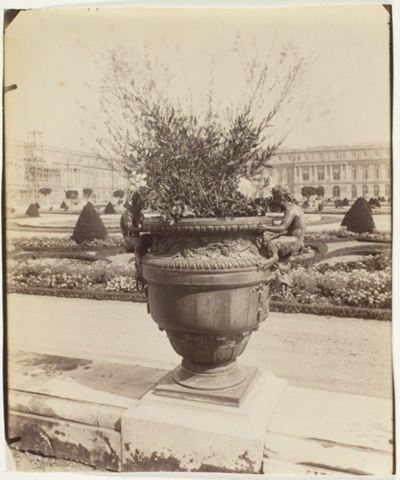 Versailles, Vase par Ballin
