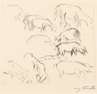 Verschiedene Tierstudien (Animal Studies)
