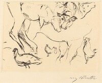 Verschiedene Tierstudien (Animal Studies)