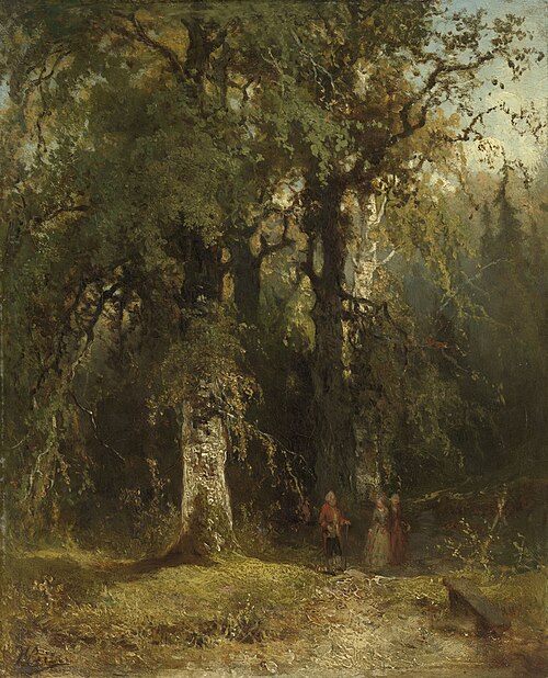 View in the Woods