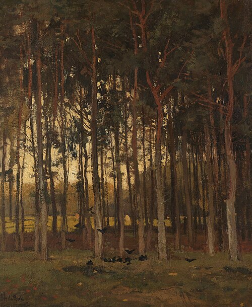 View in the Woods
