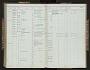 Viverricula indica