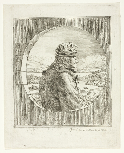 Voltaire Seen in Profile