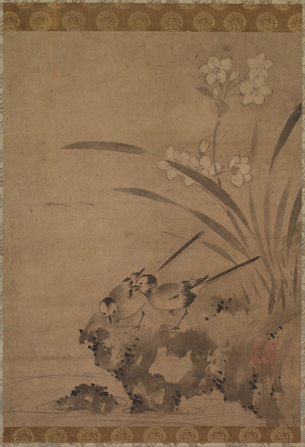 Wagtails and Narcissus
