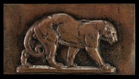 Walking Panther