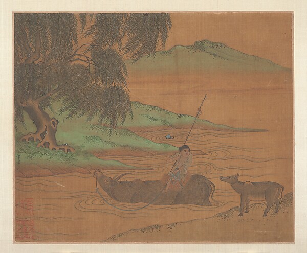 Water Buffalo