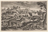 Weasels and Squirrels
