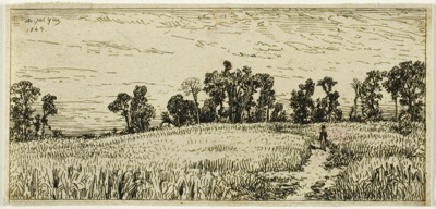 Wheat Field