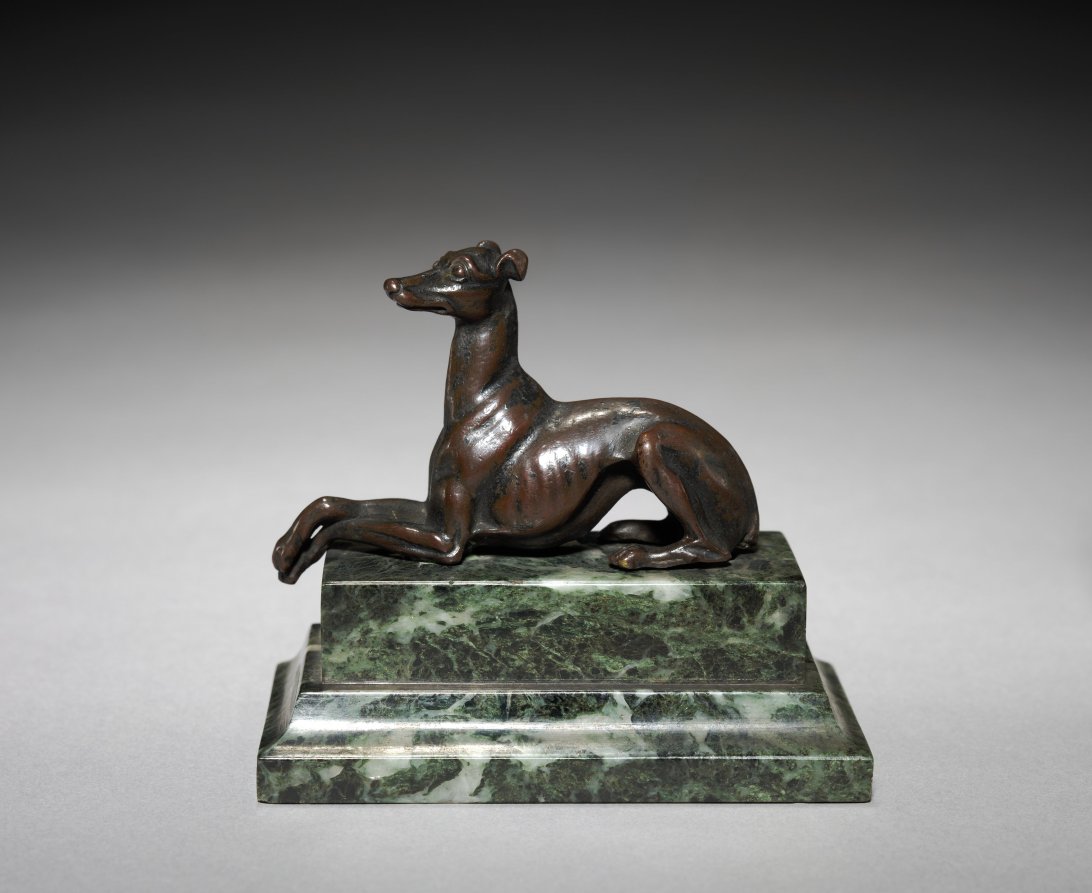 Whippet