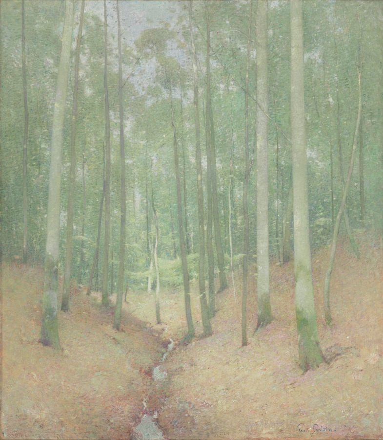 Wood Interior