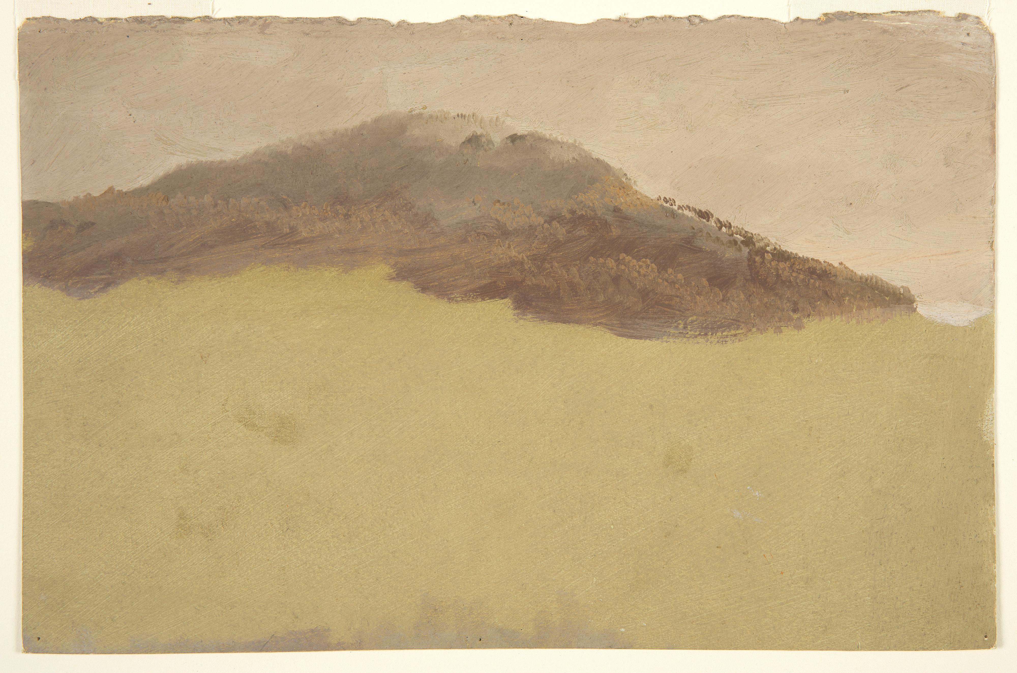Wooded Hillside