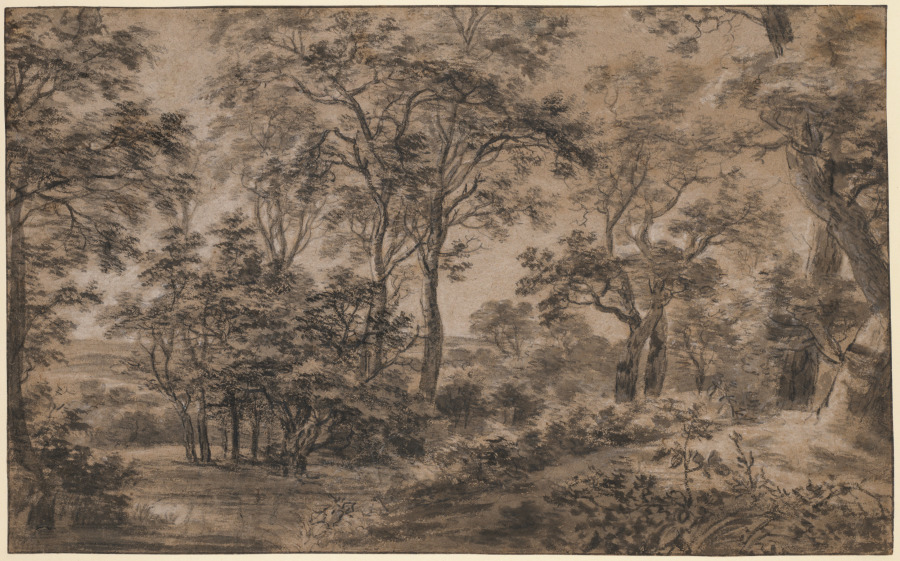 Wooded Landscape