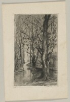 Woodland with a Stream Running Through