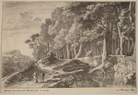Woods Bordered by a Stream