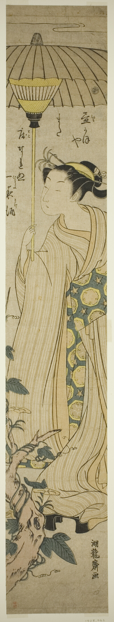 Young Woman Holding Parasol Admires Hirugao (noon-face) Flowers